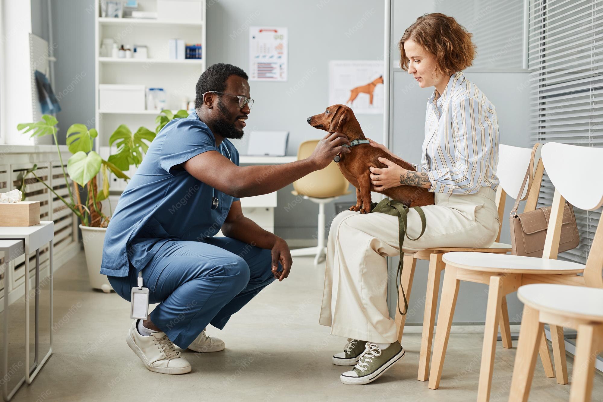 A vet and pet owner with their dog at a clinic